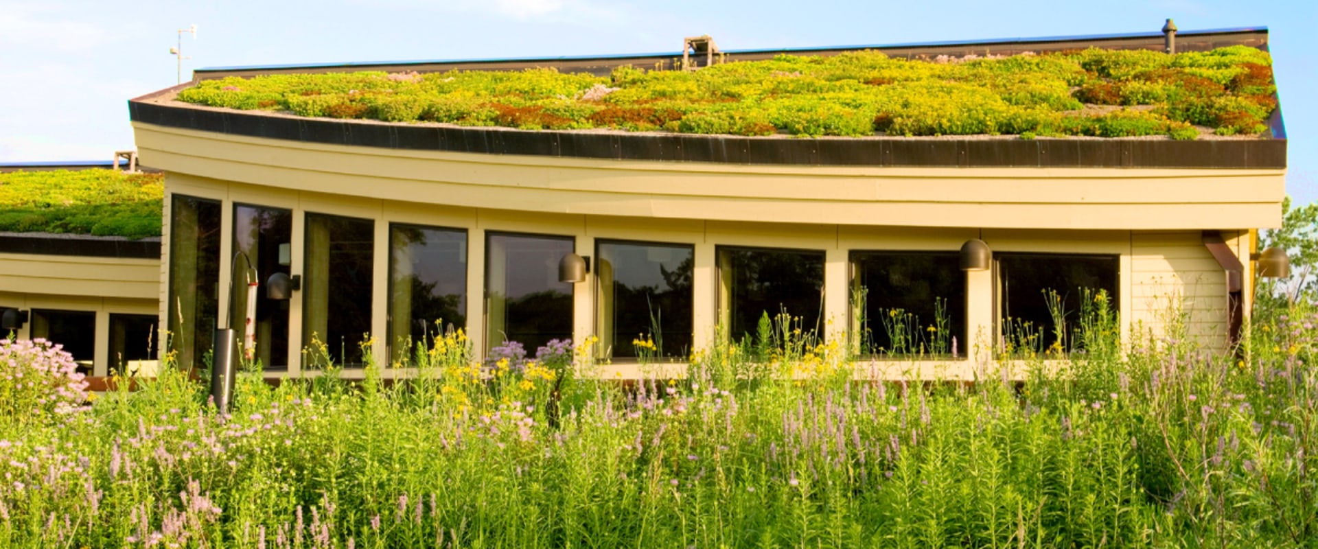 Green Roofs: A Comprehensive Guide for Commercial and Residential Roofing