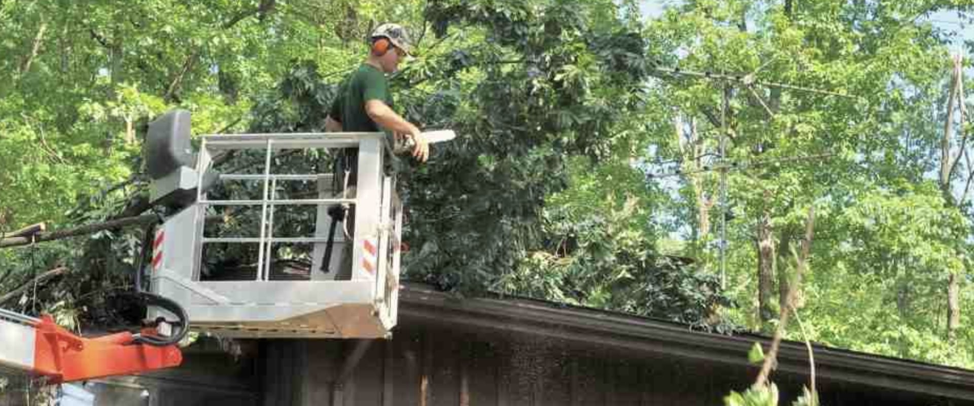 Trimming Tree Branches Near Roof: A Guide for Commercial and Residential Roof Maintenance