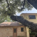 Trimming Tree Branches Near Roof: A Guide for Commercial and Residential Roof Maintenance