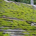 Preventing Algae and Moss Growth on Residential and Commercial Roofs