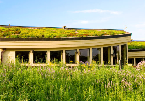 Green Roofs: A Comprehensive Guide for Commercial and Residential Roofing