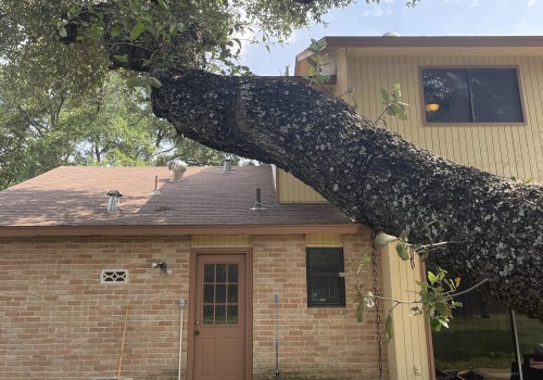 Trimming Tree Branches Near Roof: A Guide for Commercial and Residential Roof Maintenance